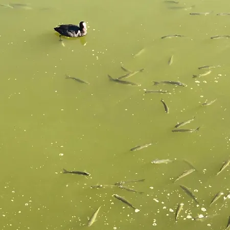 Appartement Herdade Dos Salgados-vila Lagoas