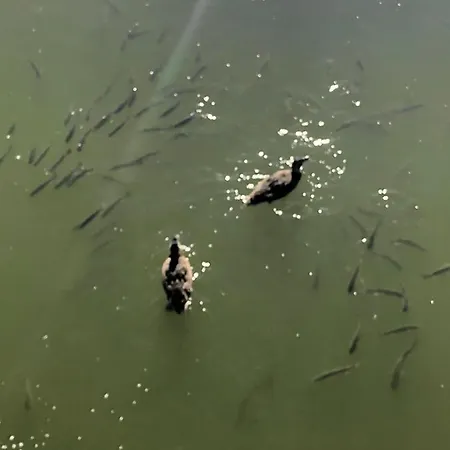 Herdade Dos Salgados-vila Lagoas