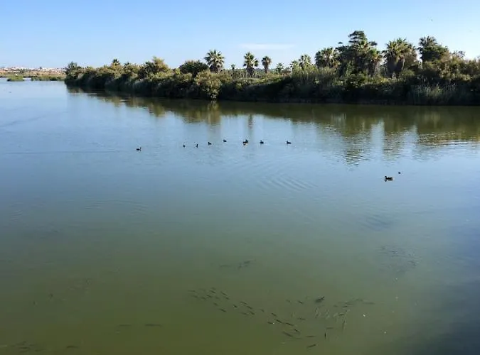 아파트 Herdade Dos Salgados-vila Lagoas 알부페이라